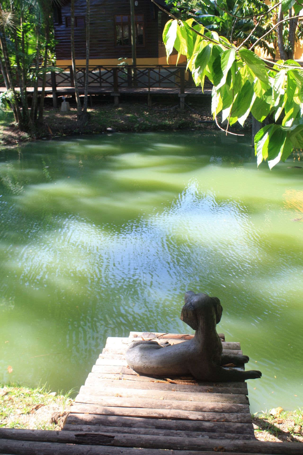 O que fazer em Macapá: a capital do meio do mundo - 33 - 2