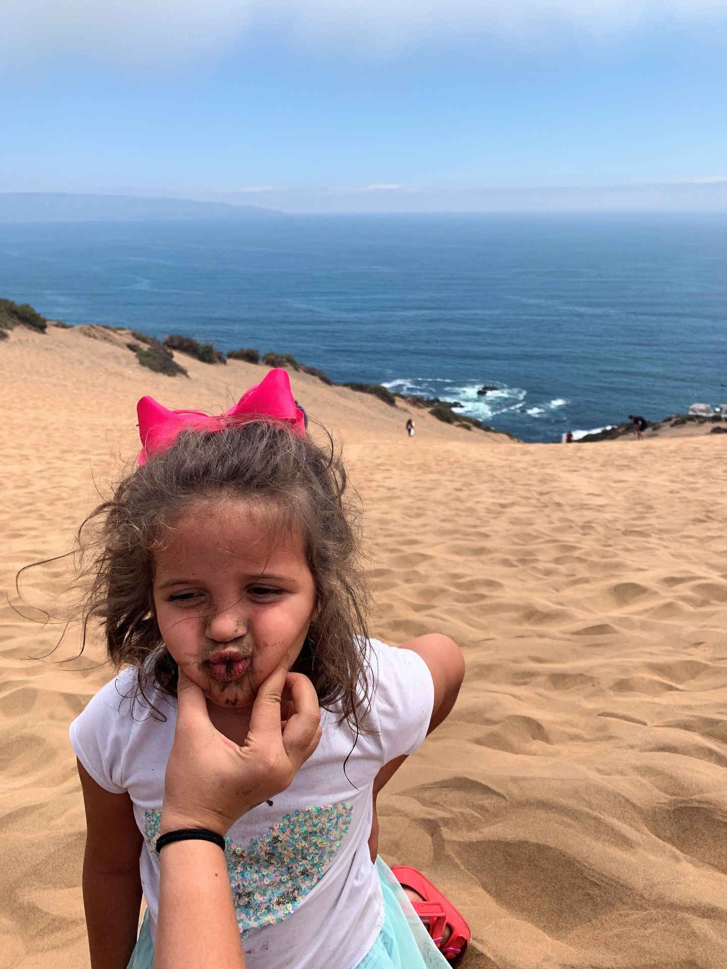 Vinã del Mar: bate-volta saindo de Santiago - 32 - 2