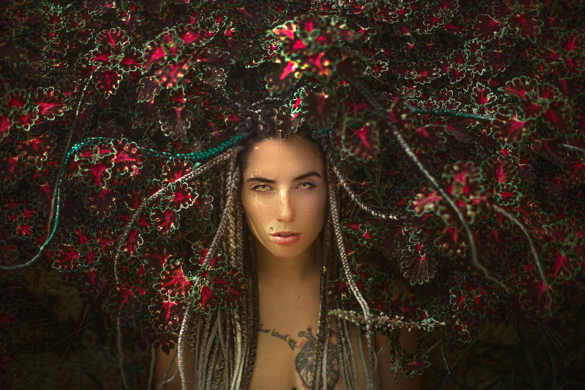 Freediving em Tulum, Cenote Dos Ojos - 8 - 1