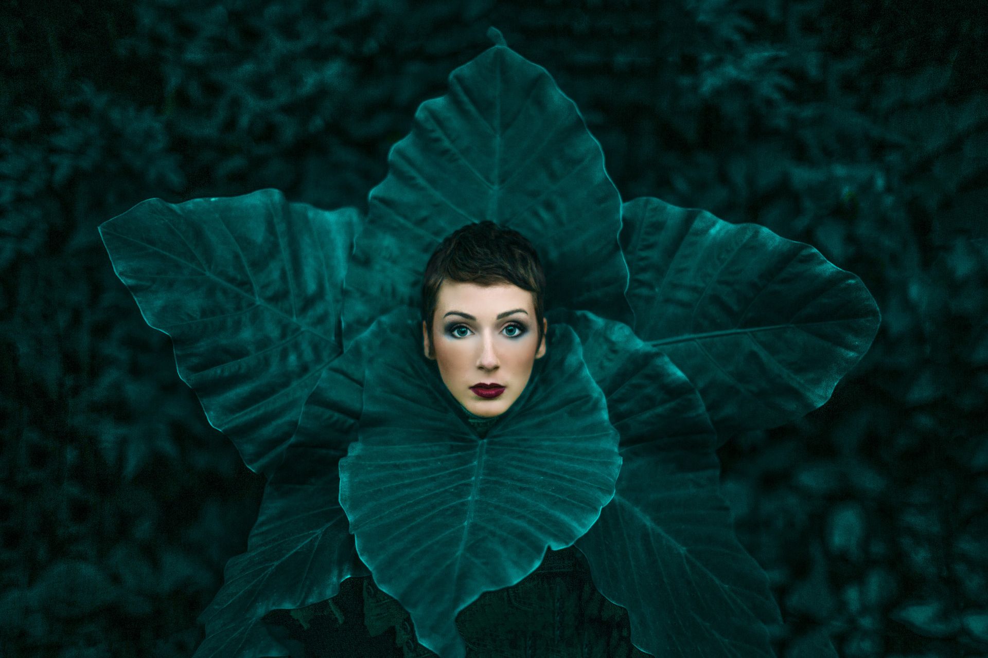 Freediving em Tulum, Cenote Dos Ojos - 8 - 0