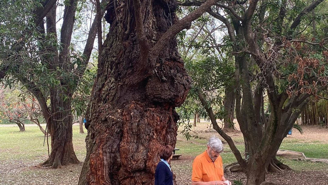 Tours August 2022 - 34 - 1