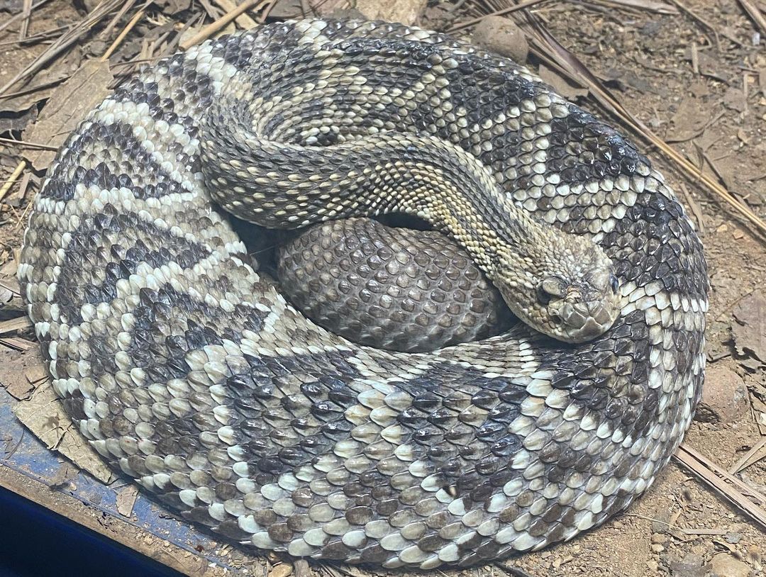 Tours September 2022 - 9 - 1