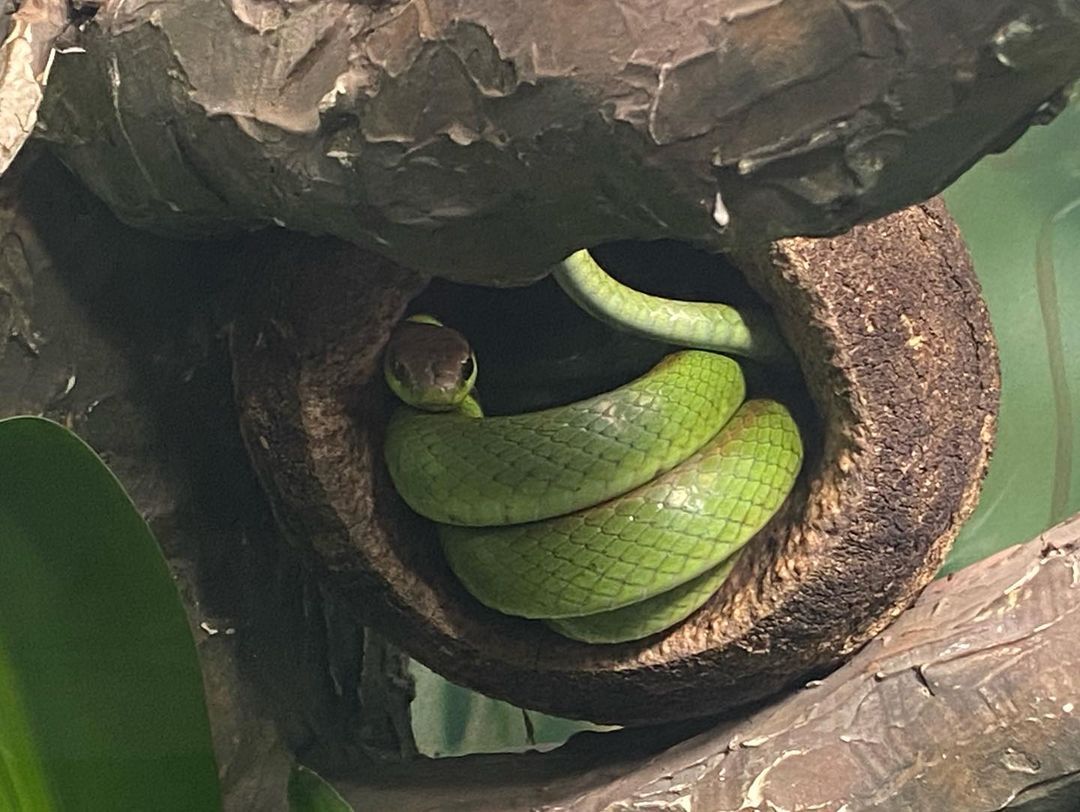 Tours September 2022 - 9 - 2