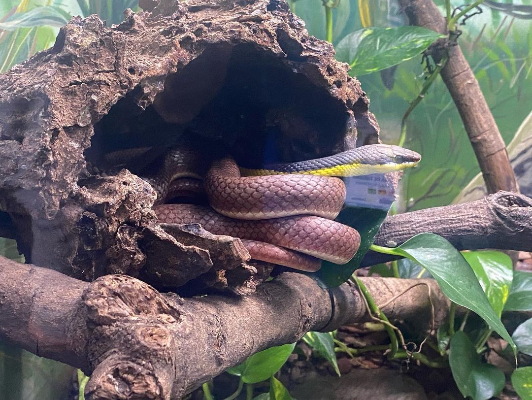 Tours September 2022 - 9 - 3