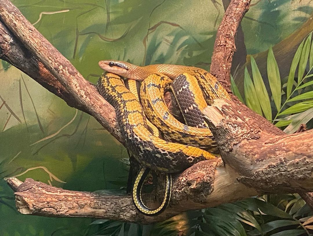 Tours September 2022 - 9 - 4