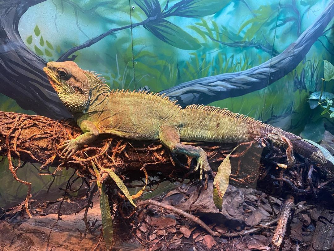 Tours September 2022 - 9 - 6