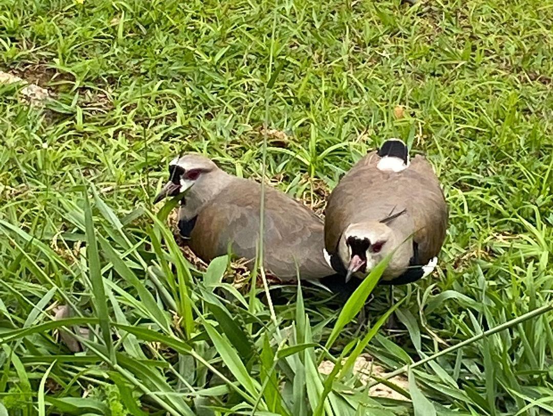 Tours October 2022 - 27 - 2