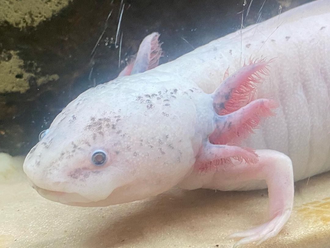 with kids in São Paulo - 11 - 4