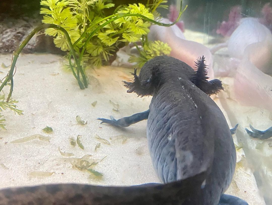 with kids in São Paulo - 11 - 5