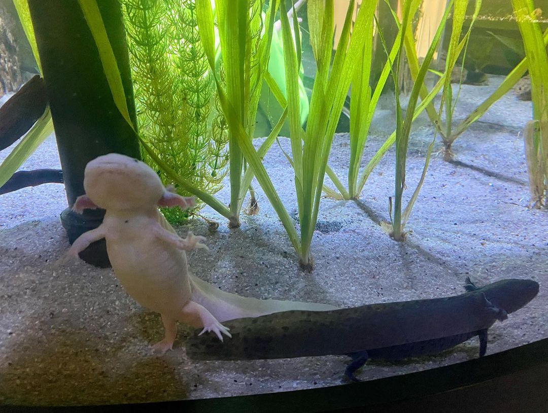 with kids in São Paulo - 11 - 7