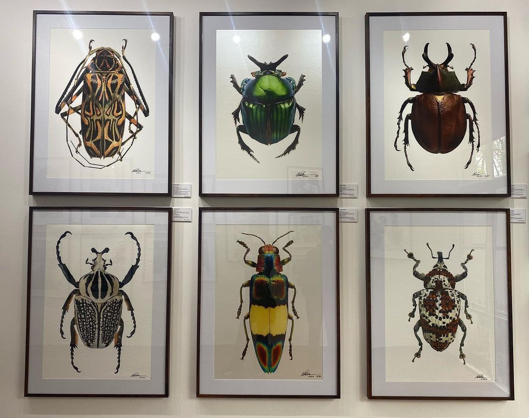 Tours November 2022 - 37 - 0