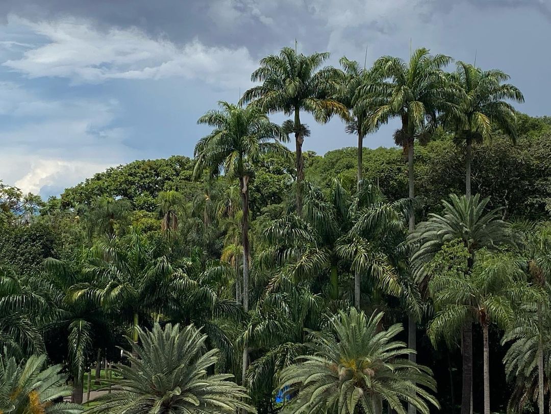 Tours November 2022 - 13 - 2