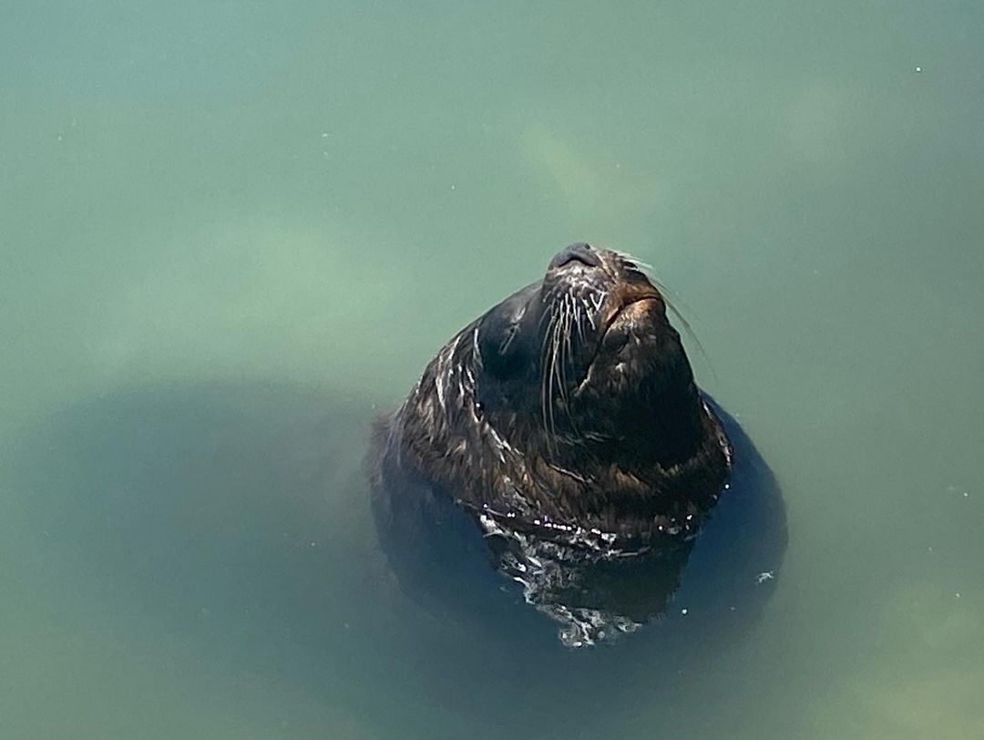 Tours December 2022 - 47 - 1