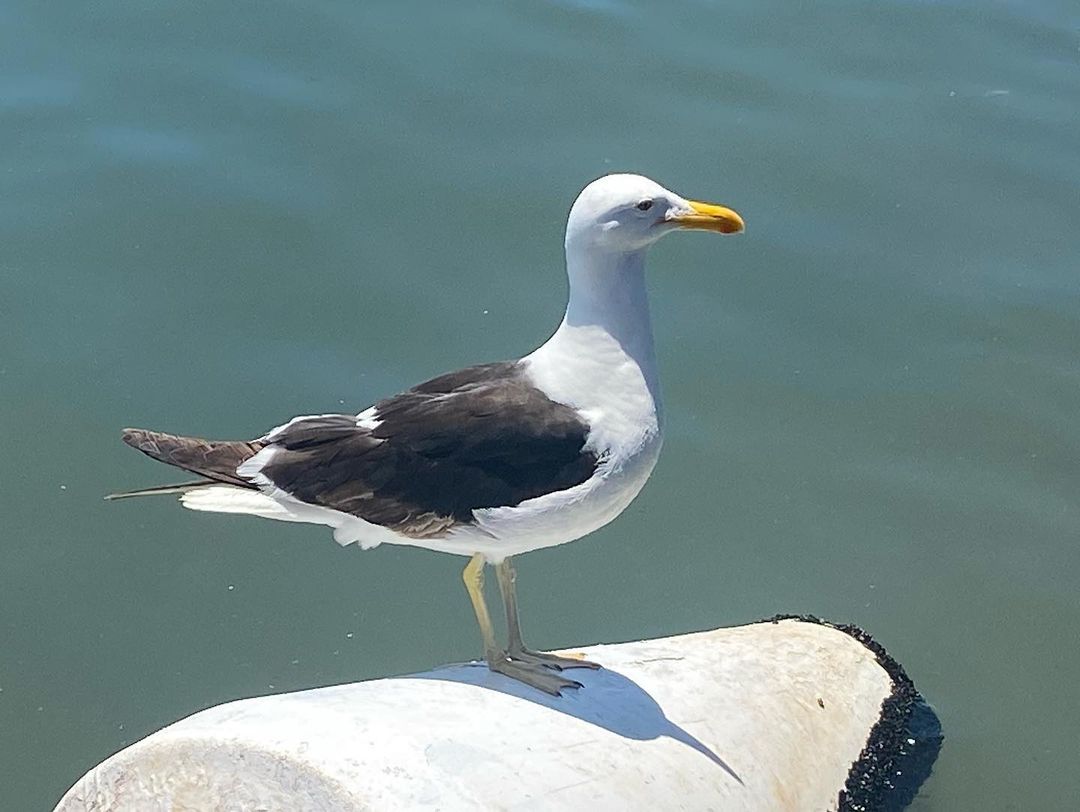 Tours December 2022 - 47 - 2