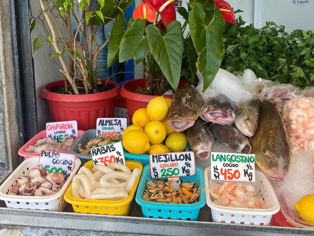 Tours December 2022 - 47 - 3