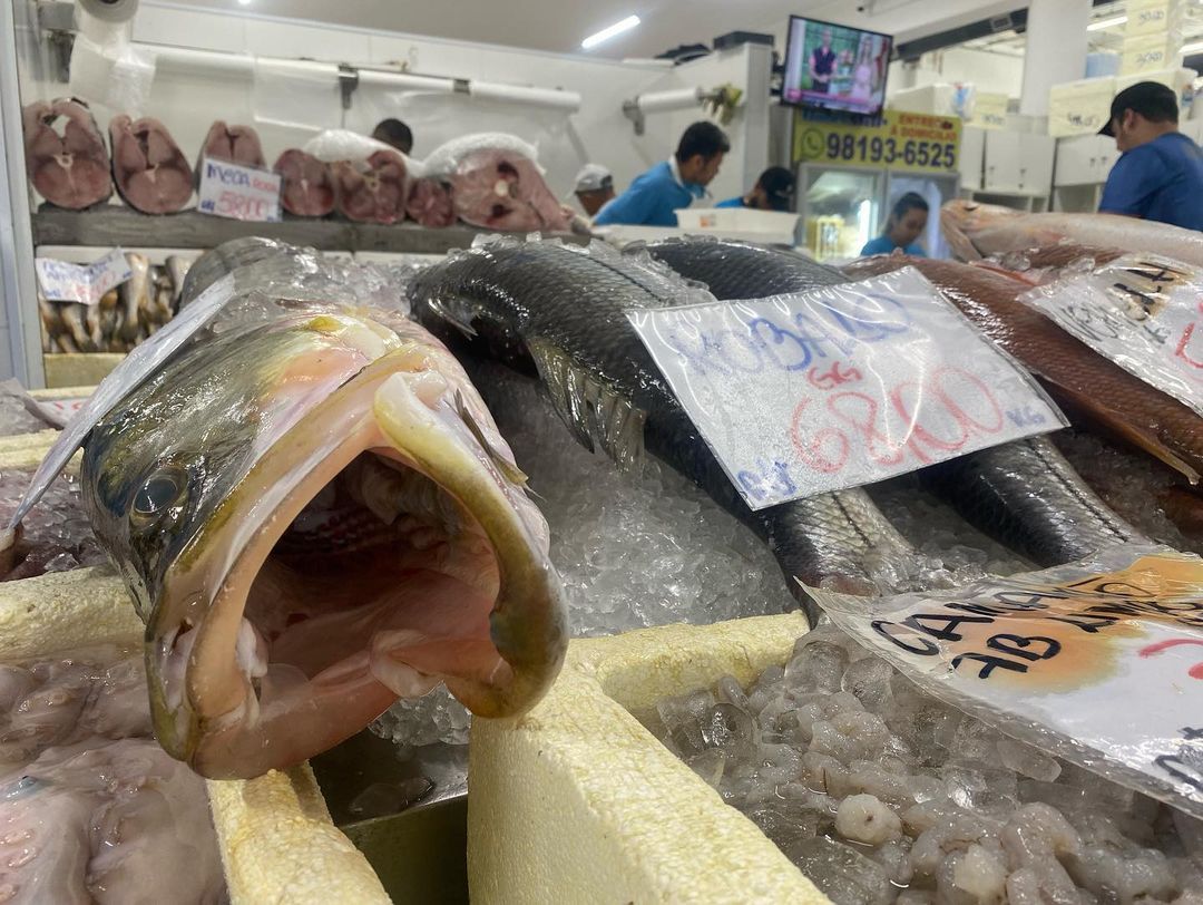 Tours January 2023 - 29 - 6