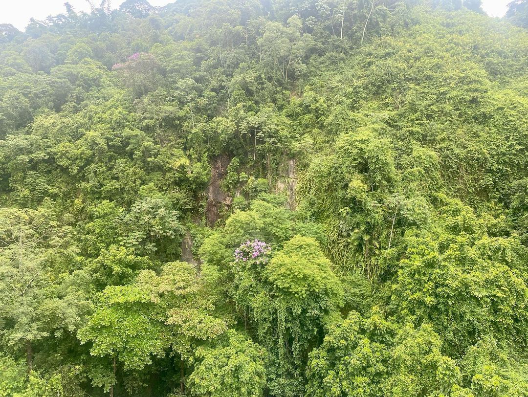 Tours January 2023 - 11 - 3