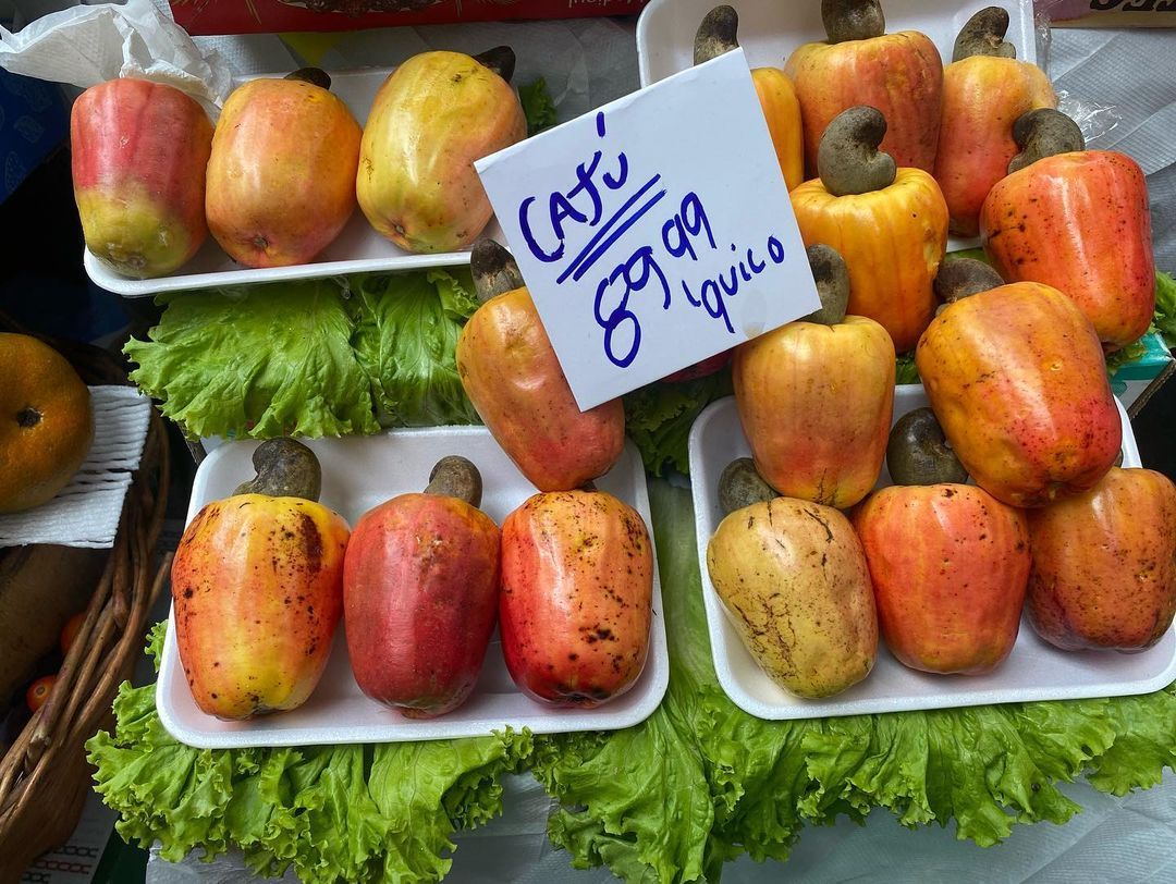 Tours March 2023 - 39 - 1