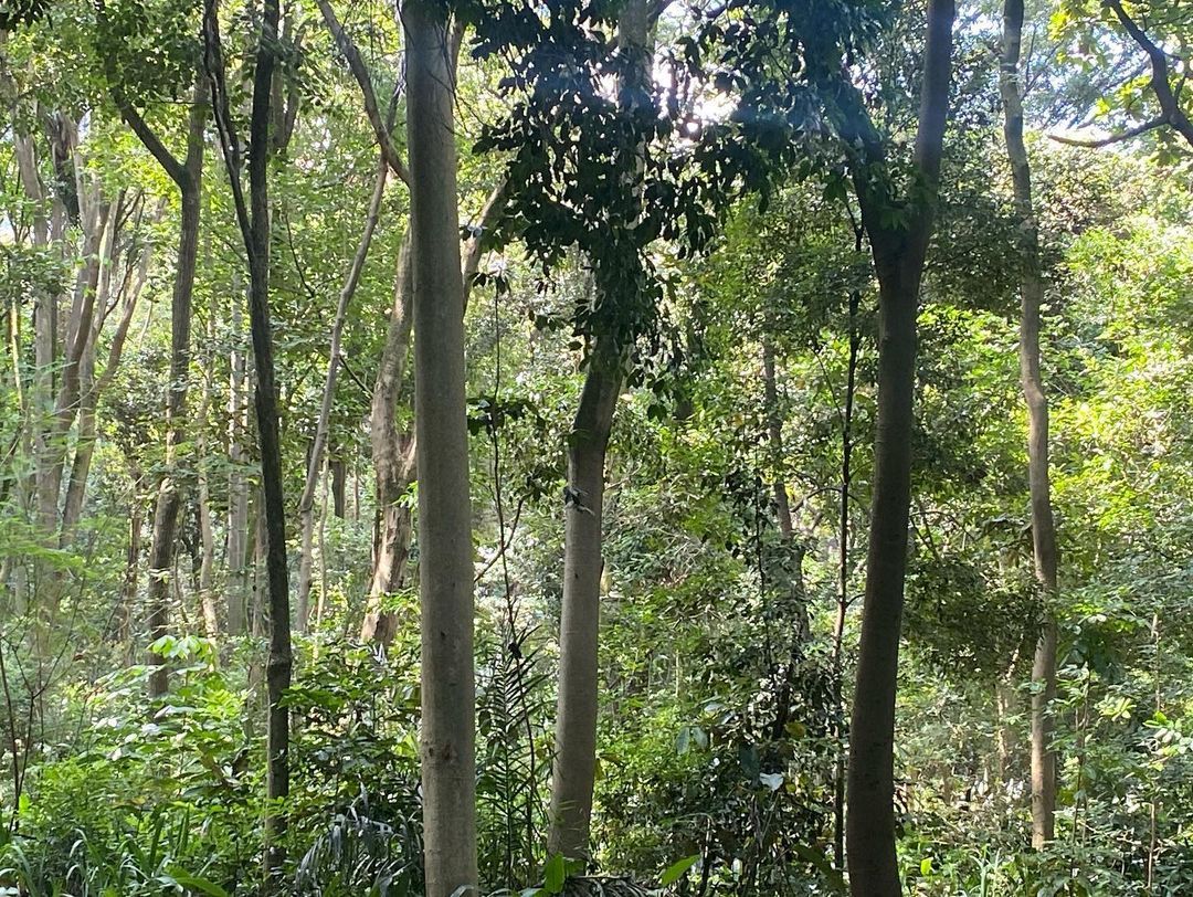 Tours March 2023 - 29 - 4