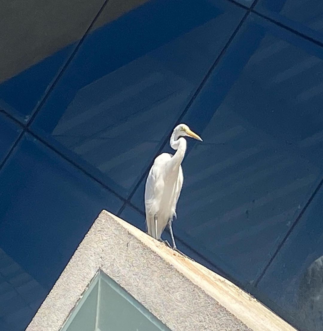 Tours April 2023 - 3 - 0