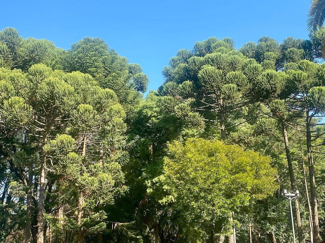 Tours June 2023 - 13 - 0