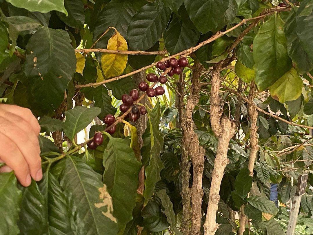 Tours June 2023 - 28 - 1