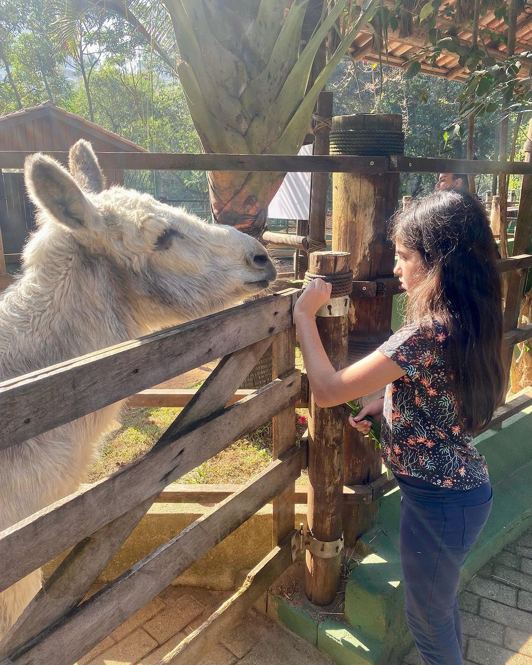 Tours July 2023 - 15 - 0