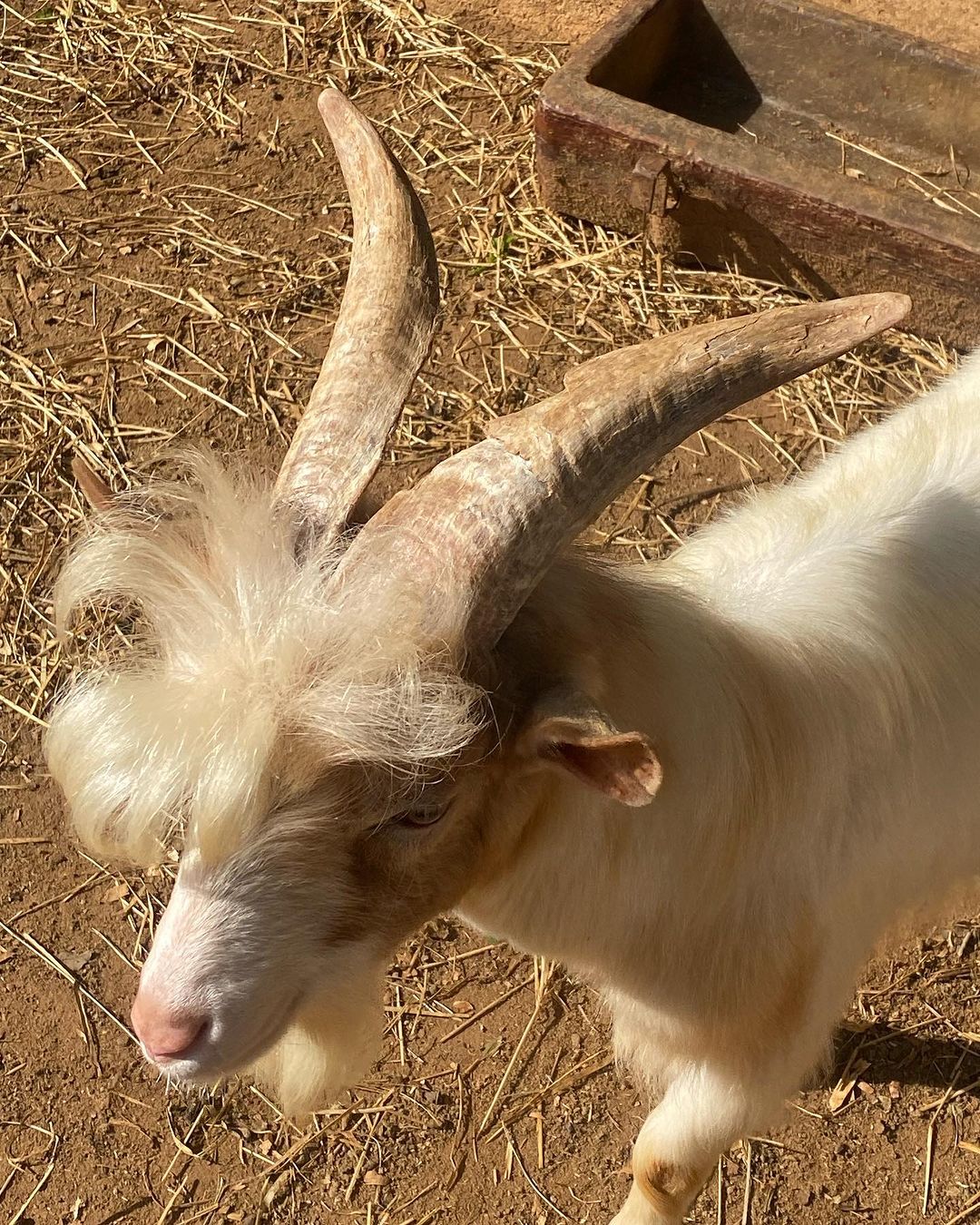 Tours July 2023 - 15 - 2