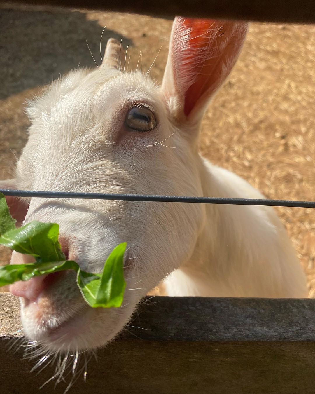 Tours July 2023 - 15 - 4