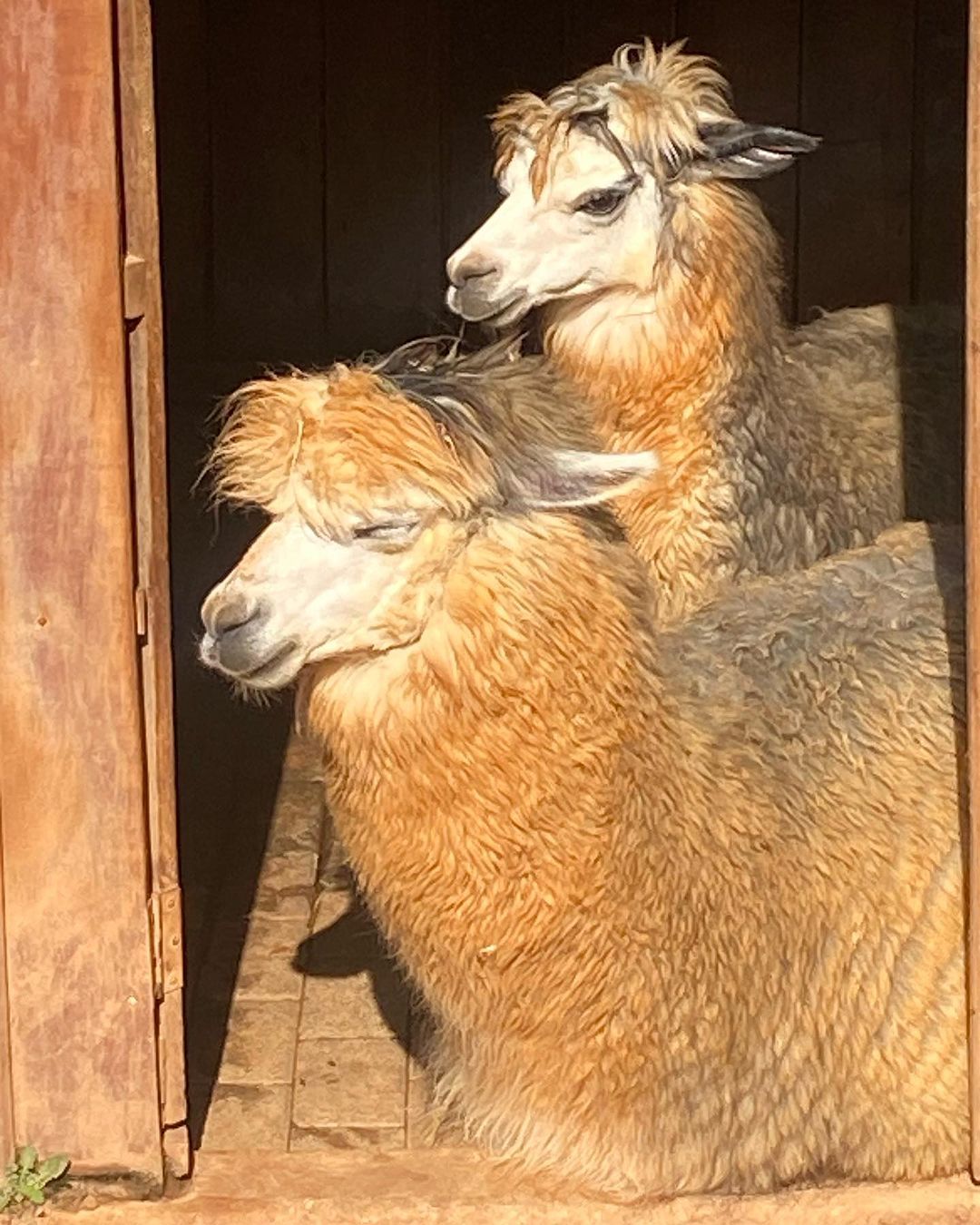 Tours July 2023 - 19 - 3