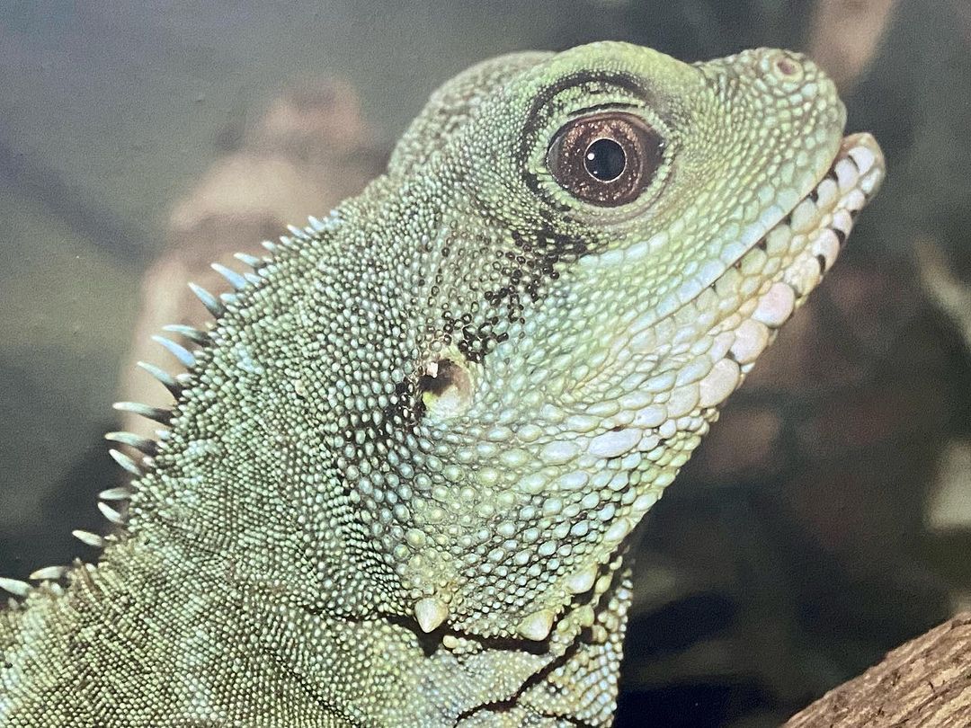 Tours September 2023 - 46 - 1