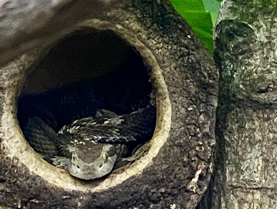 Tours September 2023 - 46 - 3