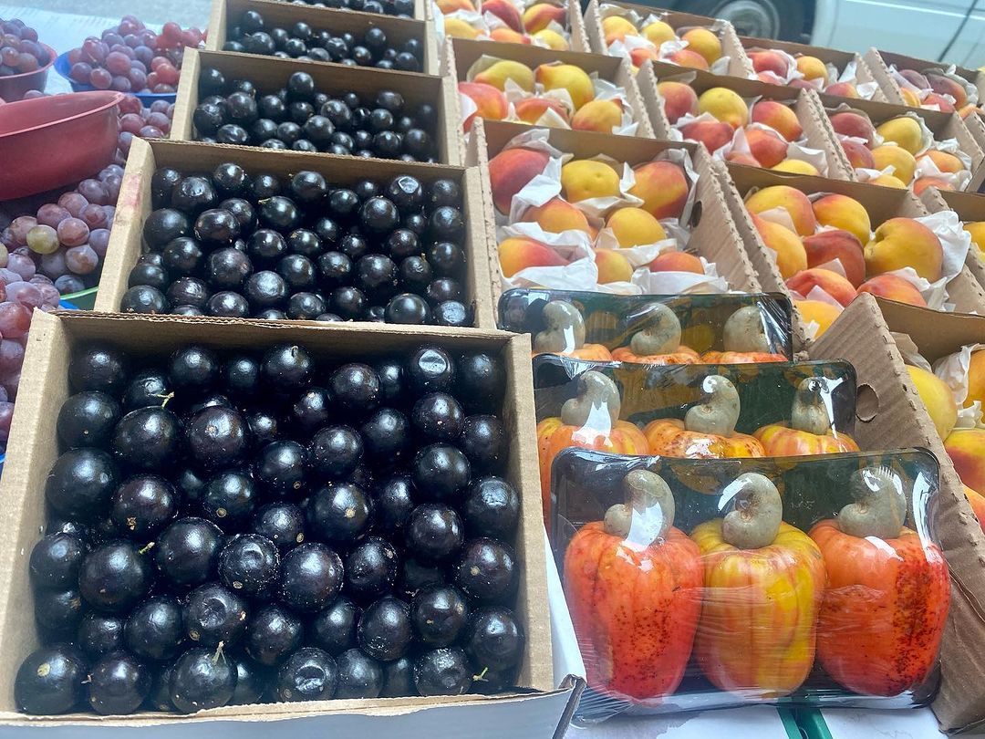 Tours October 2023 - 25 - 0