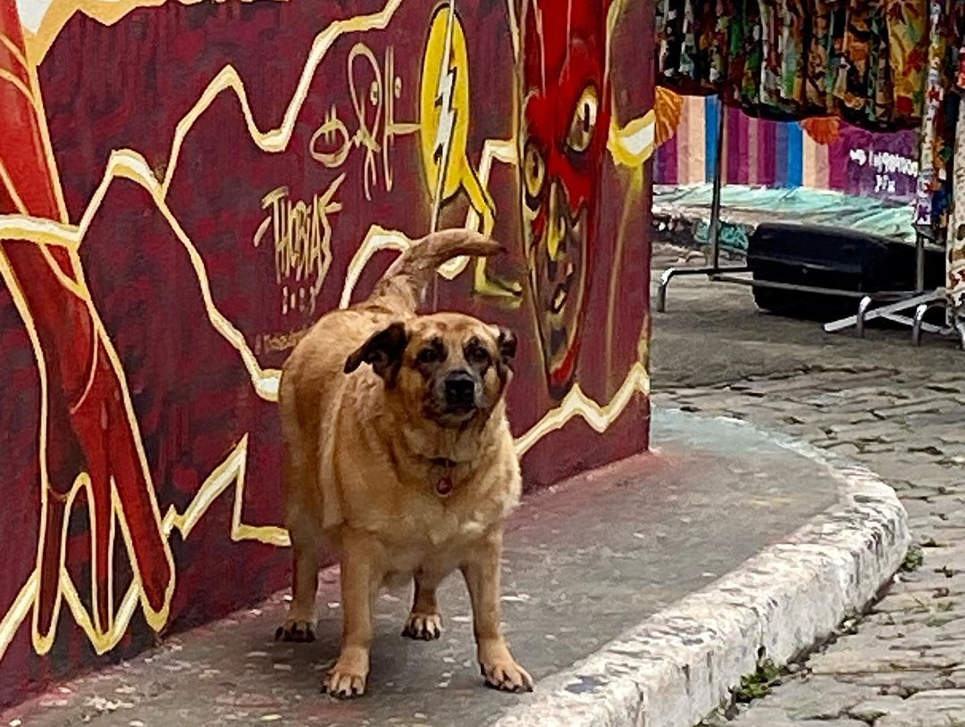 Tours October 2023 - 27 - 3