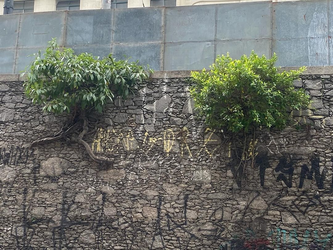 Tours February 2024 - 60 - 1