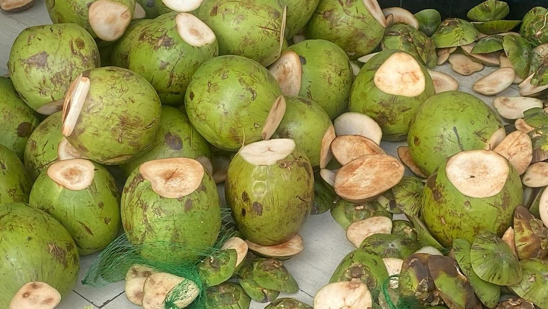 Tours February 2024 - 13 - 2