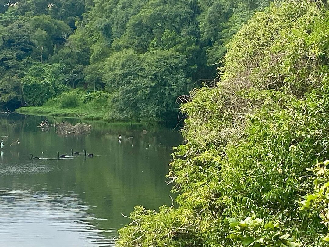 Tours March 2024 - 45 - 1