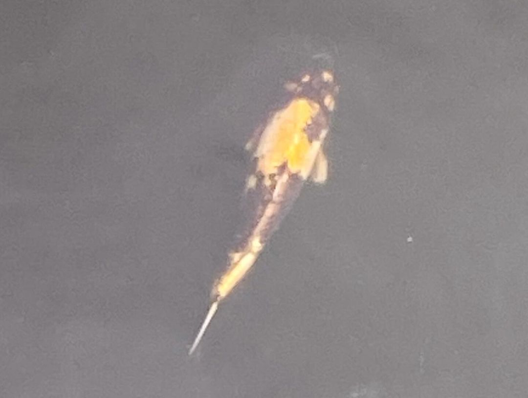 Tours March 2024 - 8 - 1