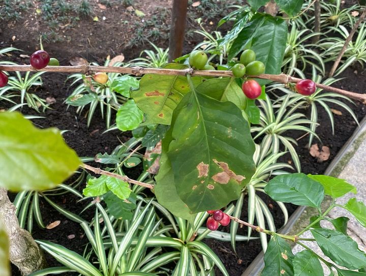 Tours April 2024 - 25 - 1