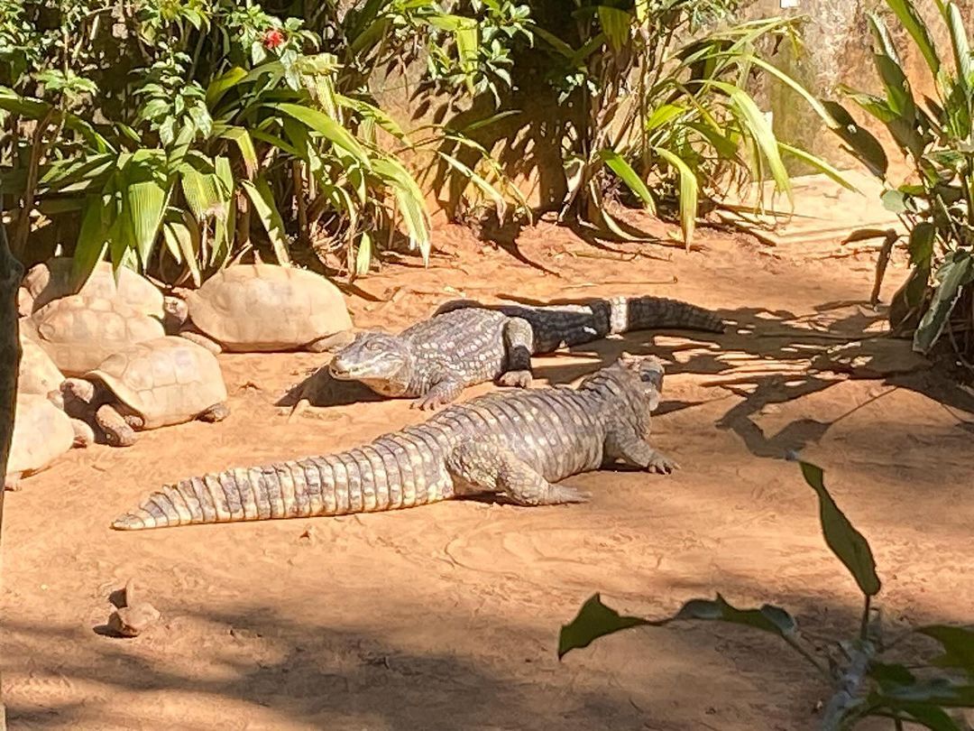 Tours June 2024 - 32 - 0