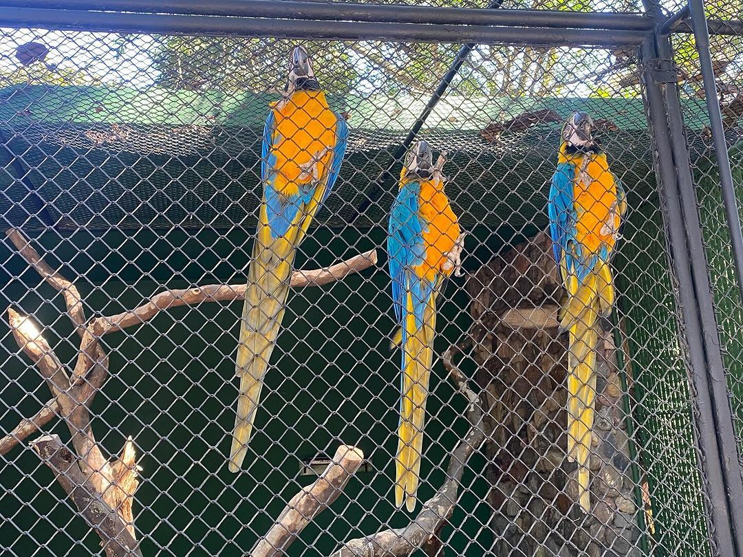 Tours June 2024 - 32 - 2