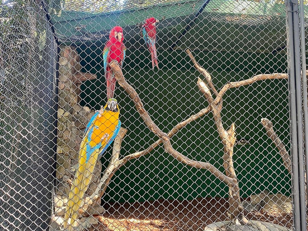 Tours June 2024 - 32 - 3