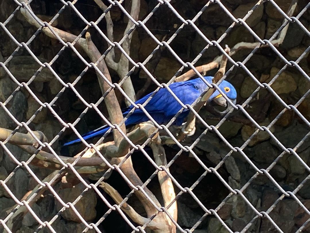 Tours June 2024 - 32 - 4