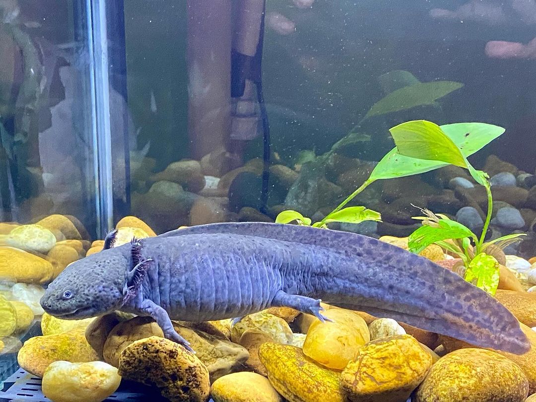 Tours June 2024 - 32 - 5