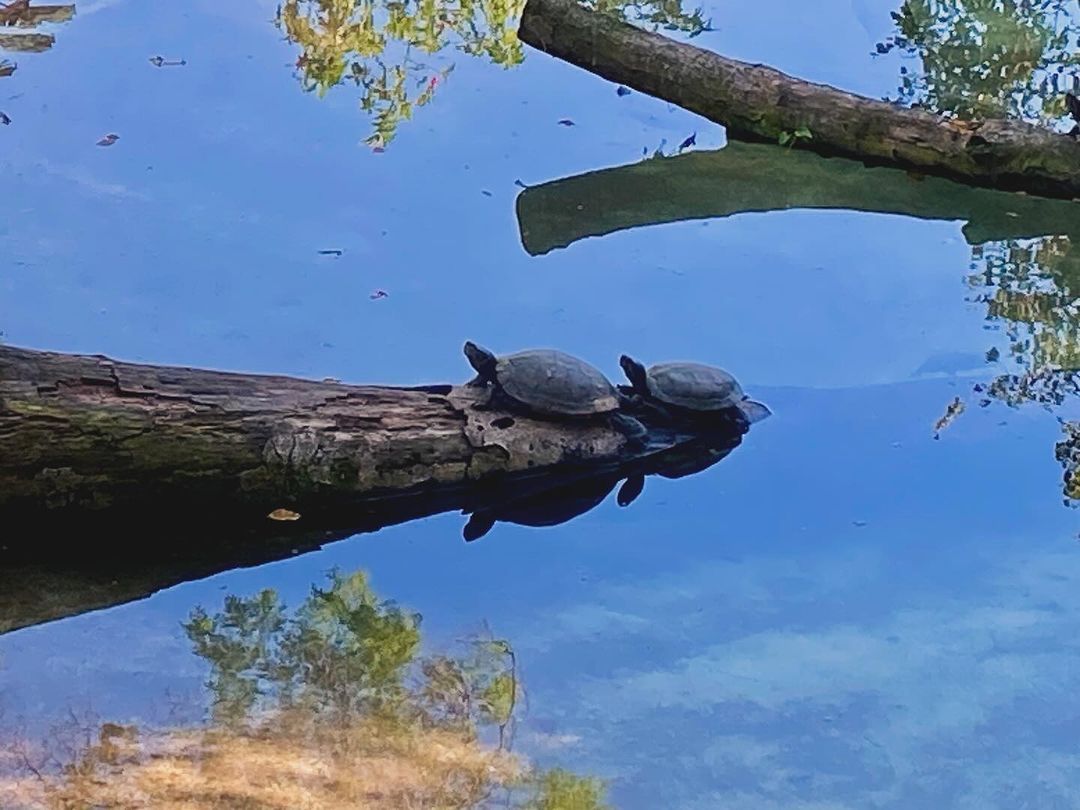 Tours June 2024 - 37 - 0