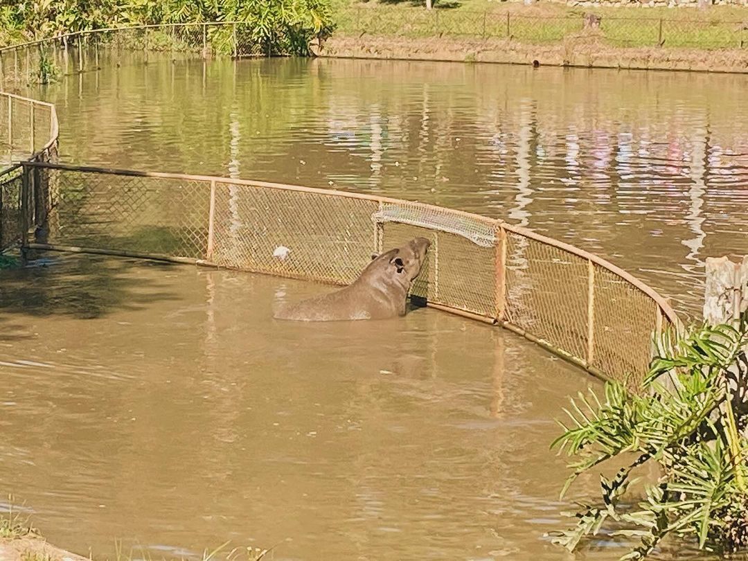 Tours June 2024 - 37 - 4