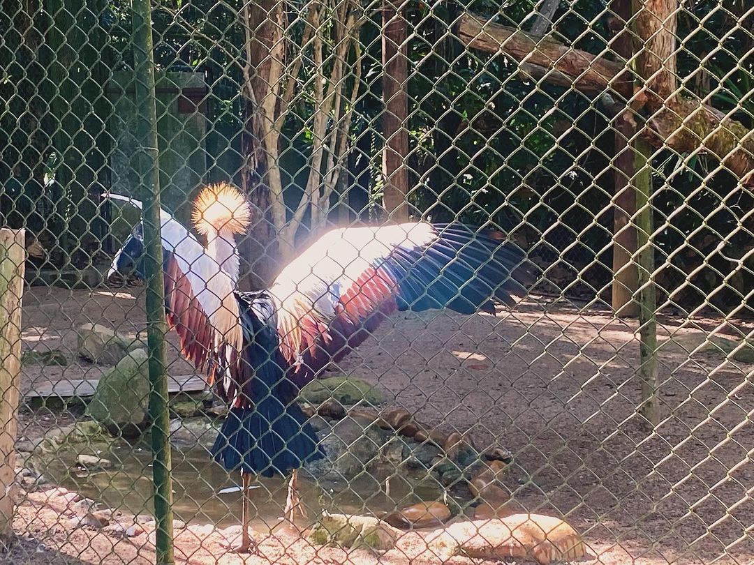 Tours June 2024 - 37 - 5