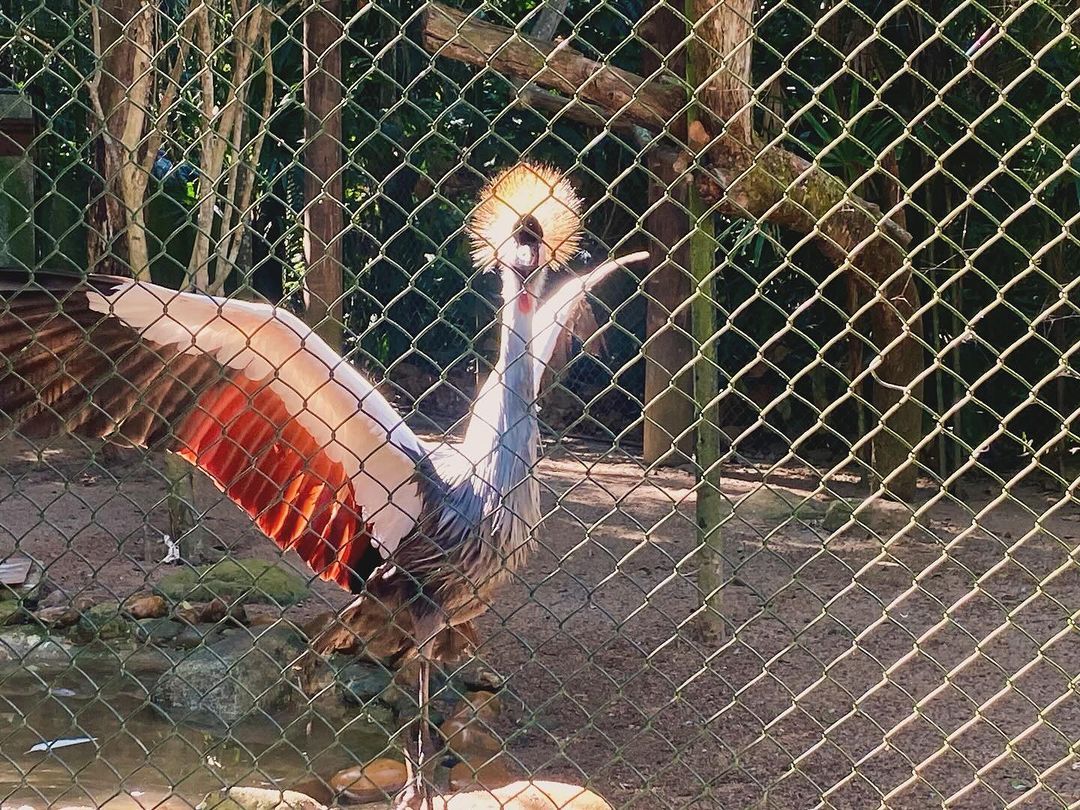 Tours June 2024 - 37 - 6