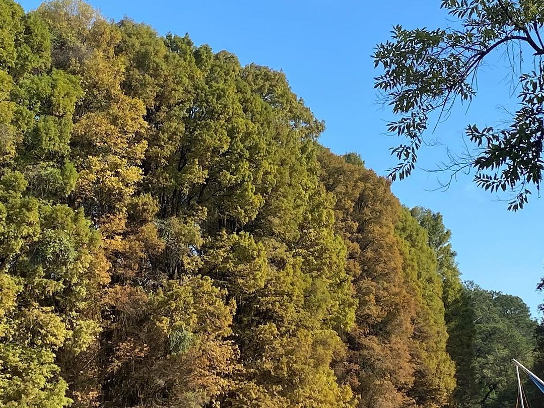 Tours June 2024 - 47 - 5