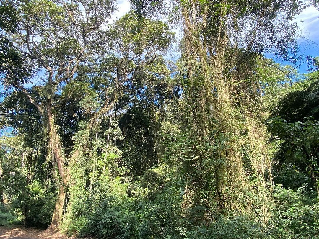 Tours June 2024 - 50 - 6